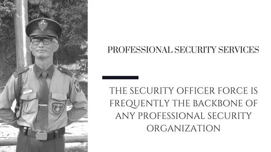 Professional Security Officer